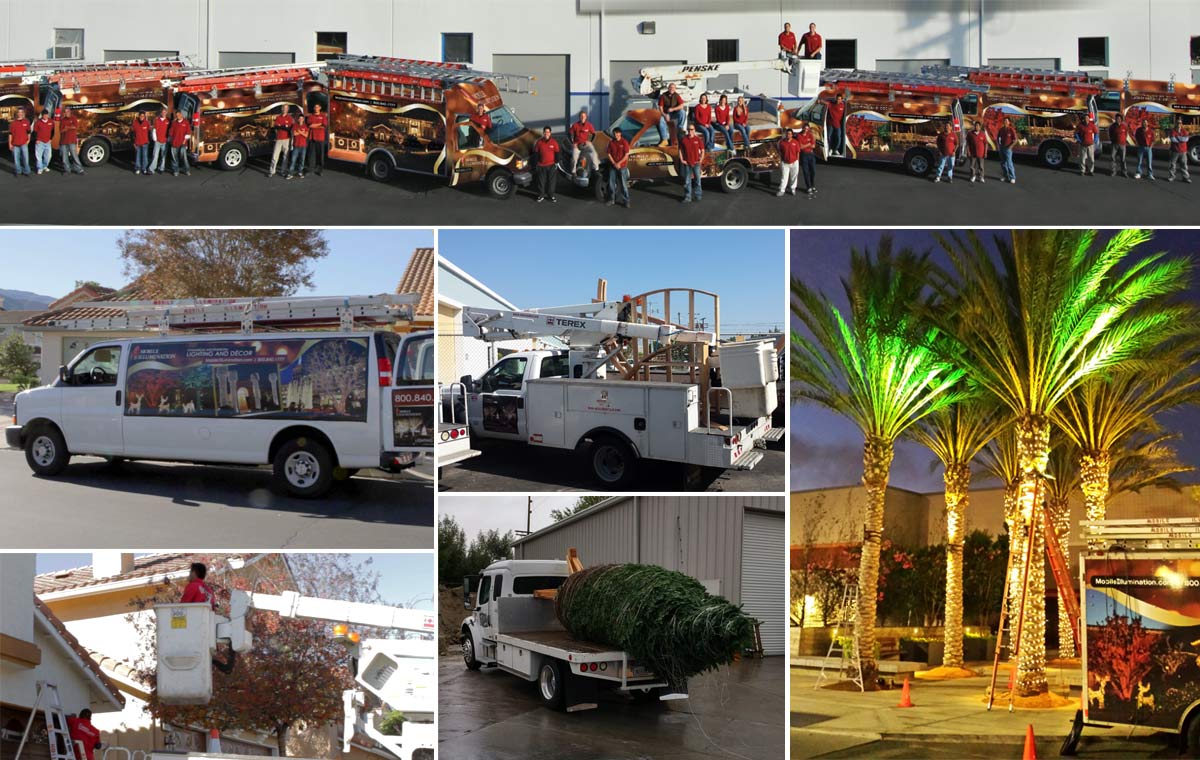 Commercial Christmas Lighting Installation