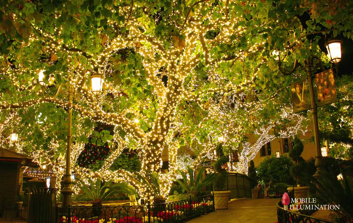 tree wrapping and tree lighting