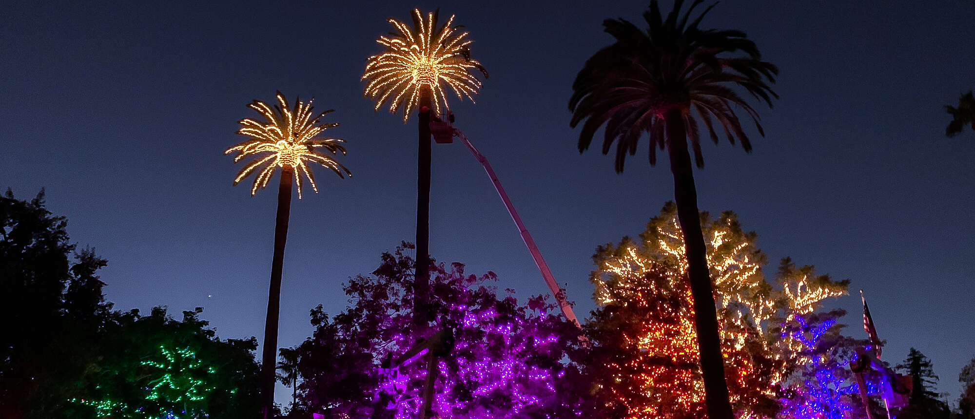 Hire Christmas Lighting Professional